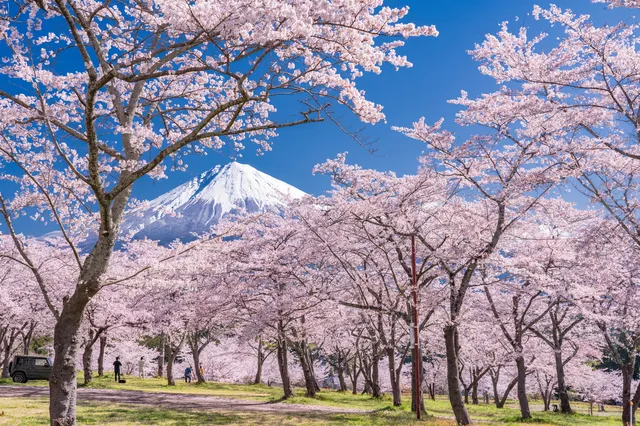 Die Reize des Fuji enthüllen: Eine umfassende Bewertung der Mt. Fuji 5. Station & Obstpflücken Tour
