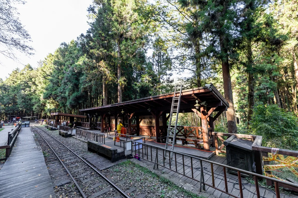 End your day with a scenic train ride on the Alishan Forest Railway 