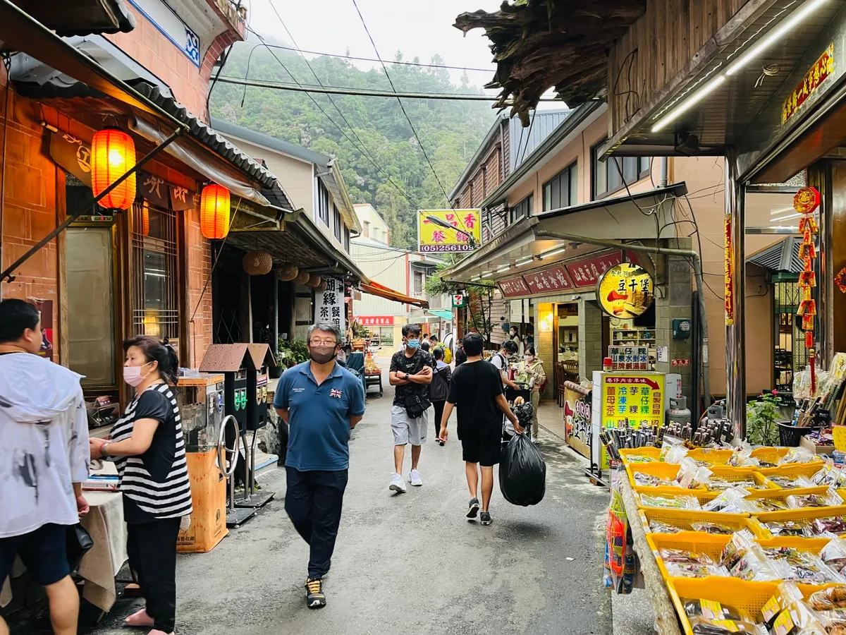 Taichung Alishan National Forest Full-Day Guided Tour