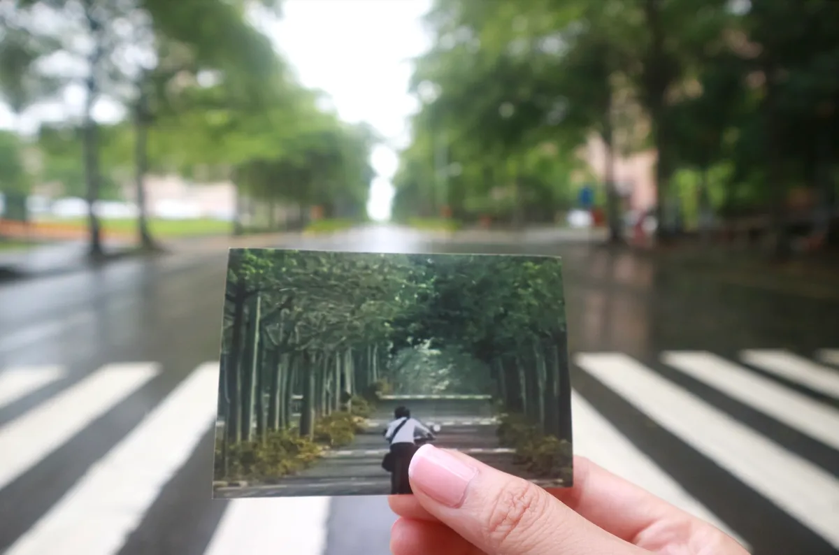 Chiayi One-Day Tour: Iconic Meteor Garden Scenes (from Taipei)