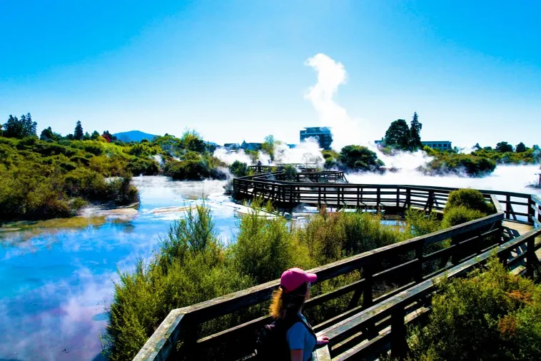 Steaming Wonders and Ancient Traditions: The Ultimate Guide to Whakarewarewa Living Maori Village