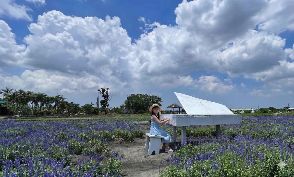 Zhong She Flower Market is an Instagram-worthy, colorful paradise. With European-style gardens, white pianos, and French-style windmills, it offers a fairy-tale backdrop for endless photos. The market features rotating seasonal blooms, such as tulips and 