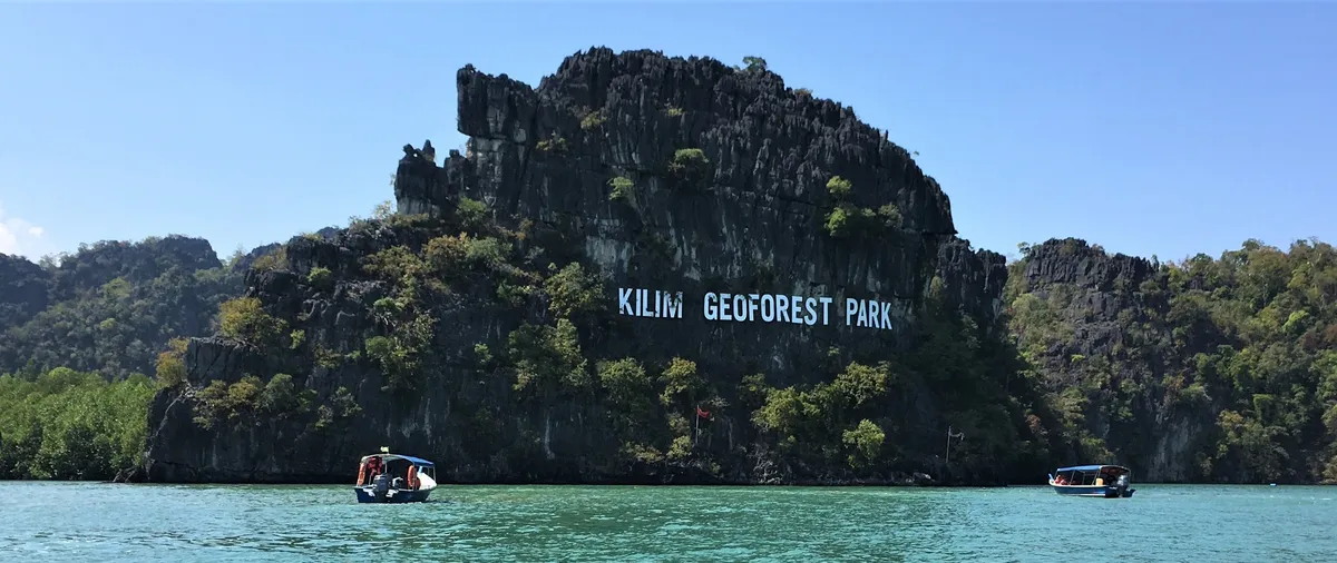 Unveiling Langkawi's Wild Side: Our Family Adventure on the Tanjung Rhu Mangrove Tour