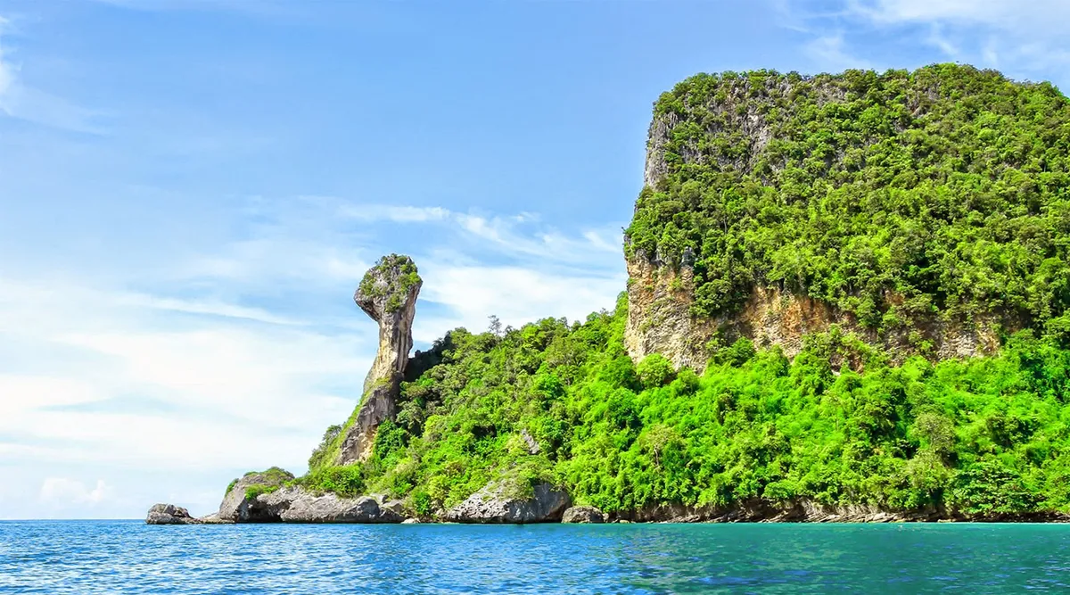 Lặn qua những vùng nước xung quanh Đảo Gà (Chicken Island) và gặp gỡ sinh vật biển bơi lội bên dưới