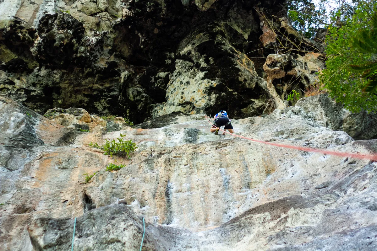 Escalando gigantes de piedra caliza: Una inmersión profunda en King Climbers en Railay Beach