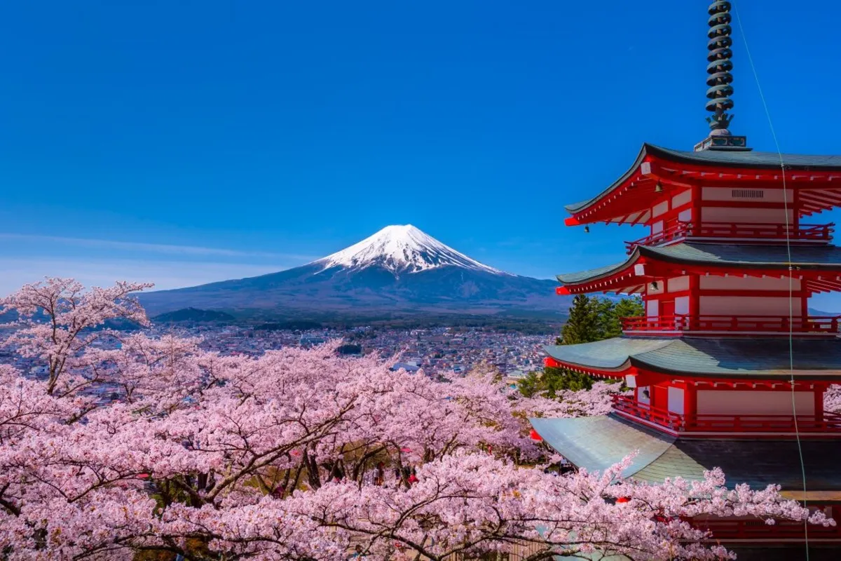 Fuji in a Flash: Your Epic One-Day Mount Fuji Adventure from Tokyo!