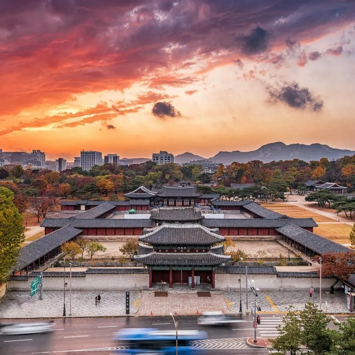 Moonlight Magic: Exploring Seoul's Best Night Spots with the Family