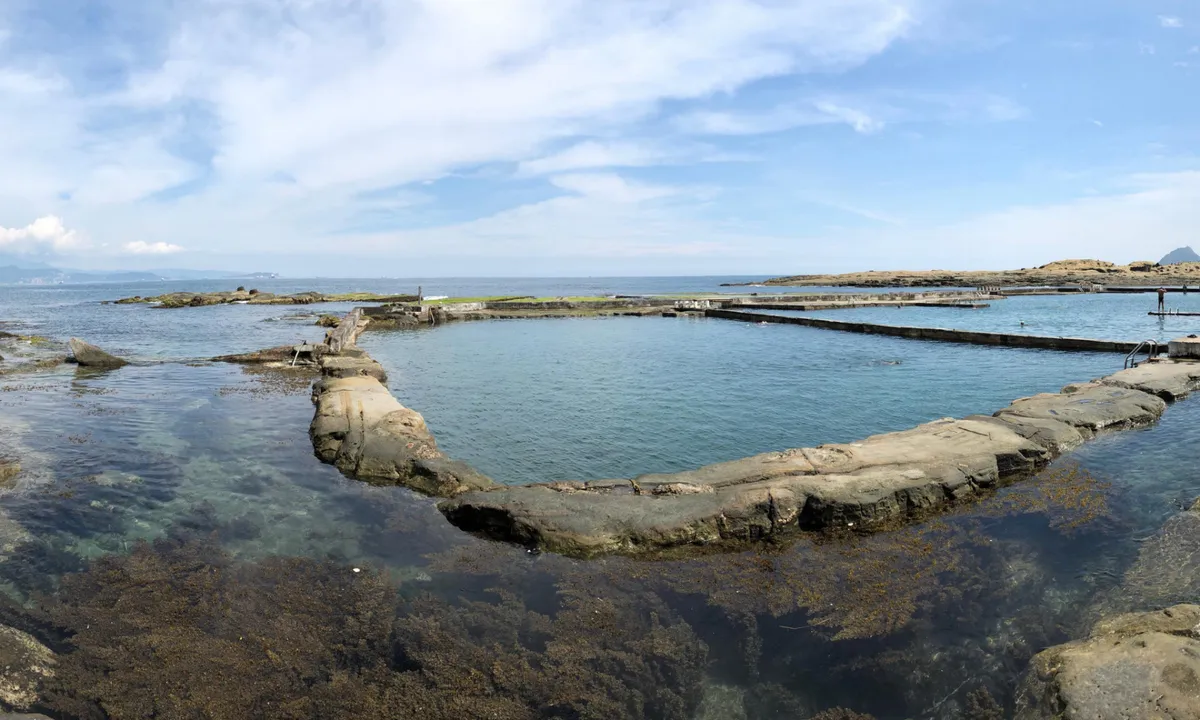 Disfruta de la diversión familiar en la piscina al aire libre o nada junto a peces tropicales, cangrejos lanzadera y otra vida marina en la piscina de agua salada.