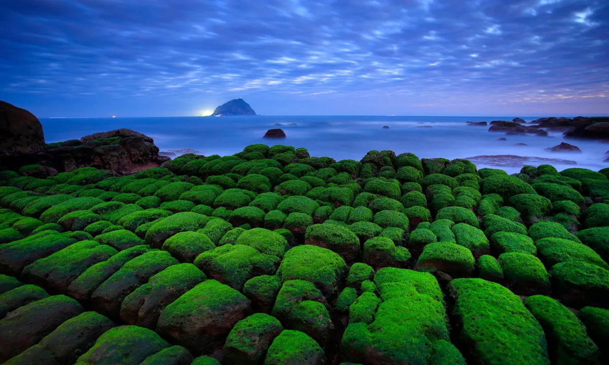 Aprecia formas de relieve costeras únicas como las Rocas Tofu y aprende sobre el concepto de conservación ecológica marina sostenible.