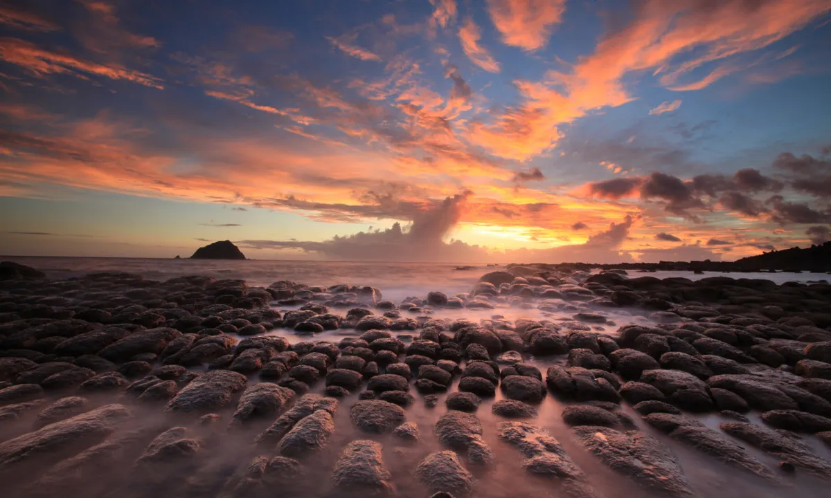 Disfruta del hermoso atardecer del norte de Taiwán desde la primera fila de asientos con vista al mar, dando un final perfecto a tu viaje ecológico e intelectual.