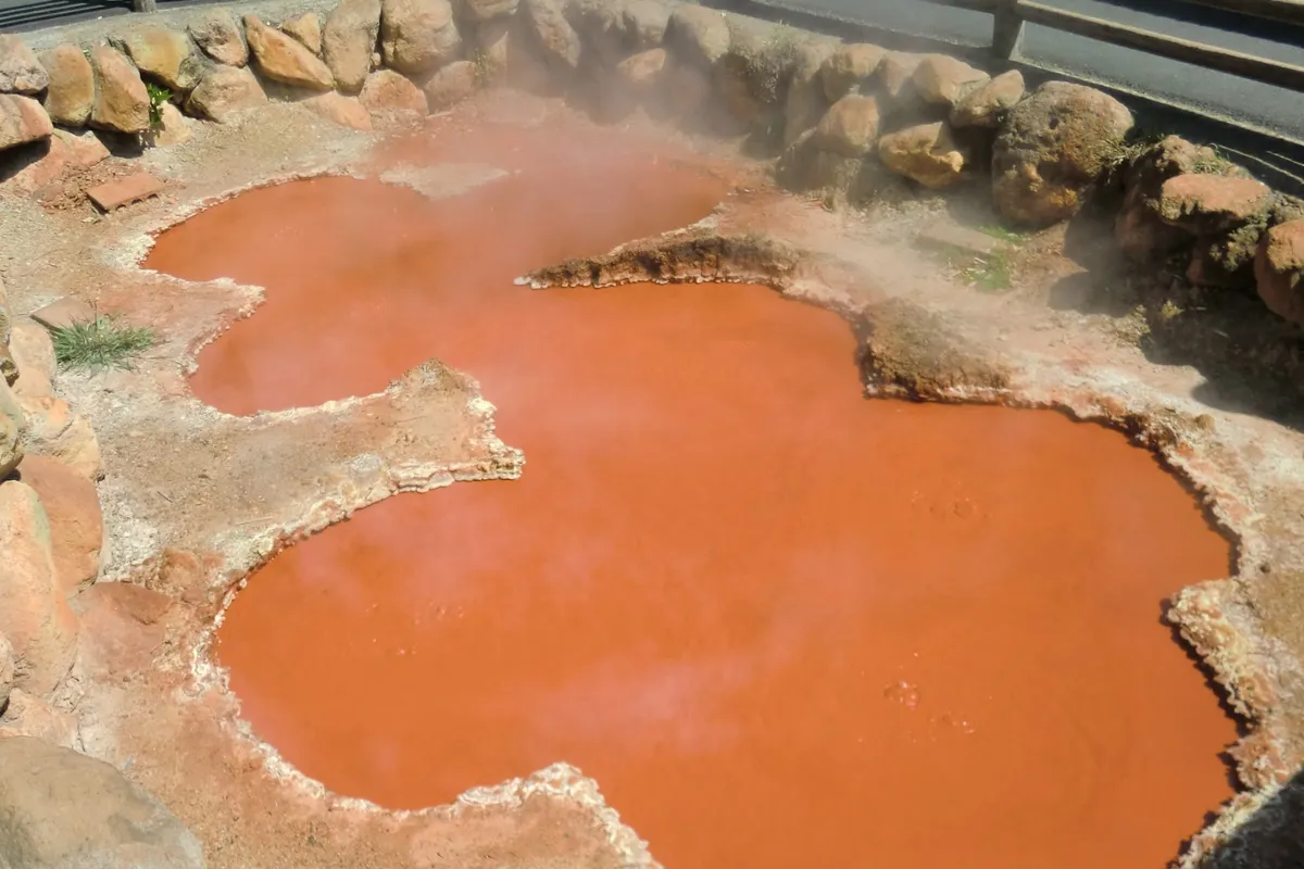 The Chinoike Jigoku’s (Blood Hell) deep red color comes from the metal-heavy earth deposits in the pool