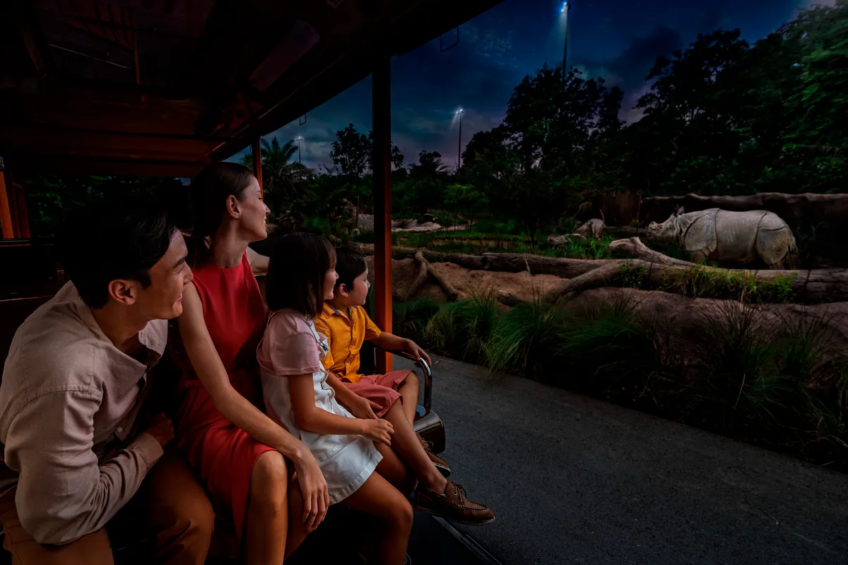 Night Safari