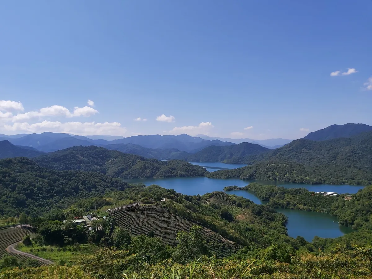 Sip, See, & Savor: Our Family's Guide to Taipei's Thousand Island Lake & Pinglin Tea Tour