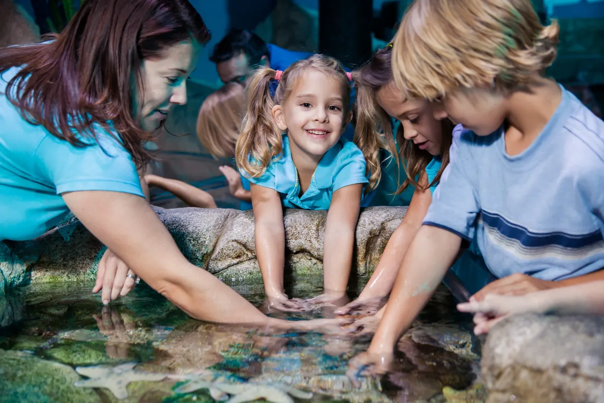 Deep Sea Discovery: An Honest Review of Sea Life London Aquarium