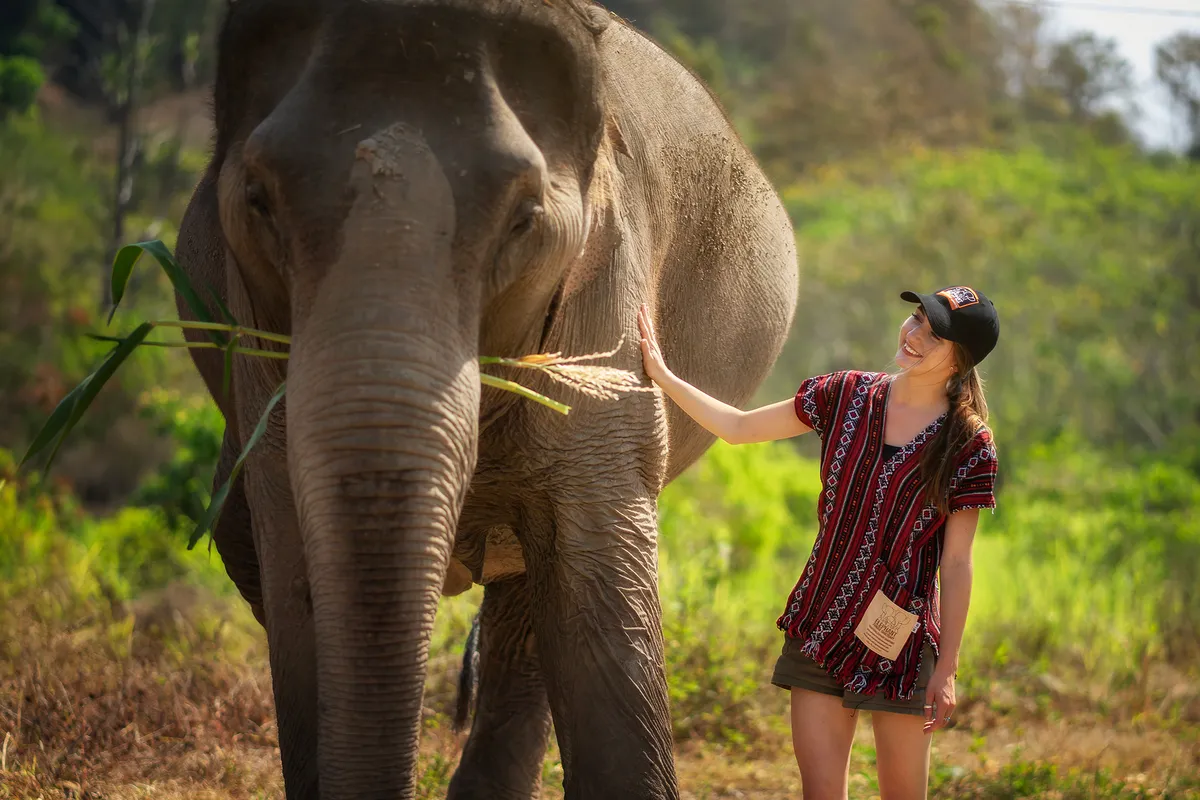 Mặc trang phục truyền thống Karen và đến gần để cho voi ăn bằng tay