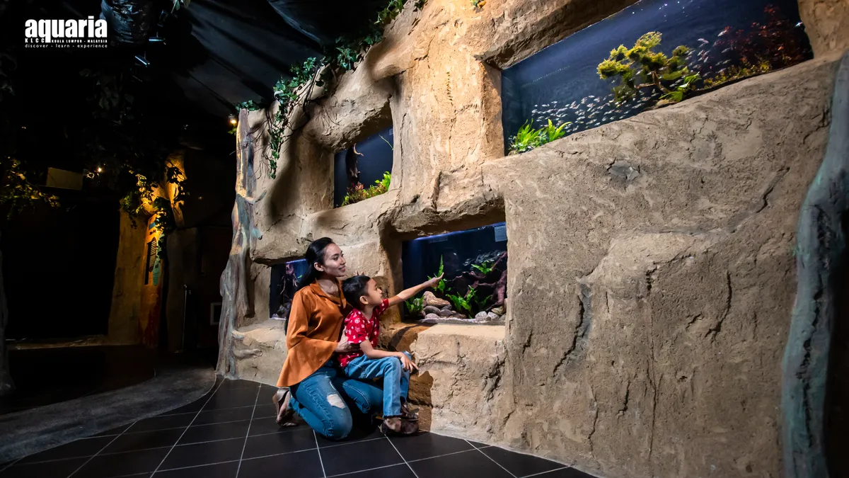 Explore as maravilhosas exposições no Aquaria Kuala Lumpur City Centre (KLCC) preparadas para a sua família e amigos