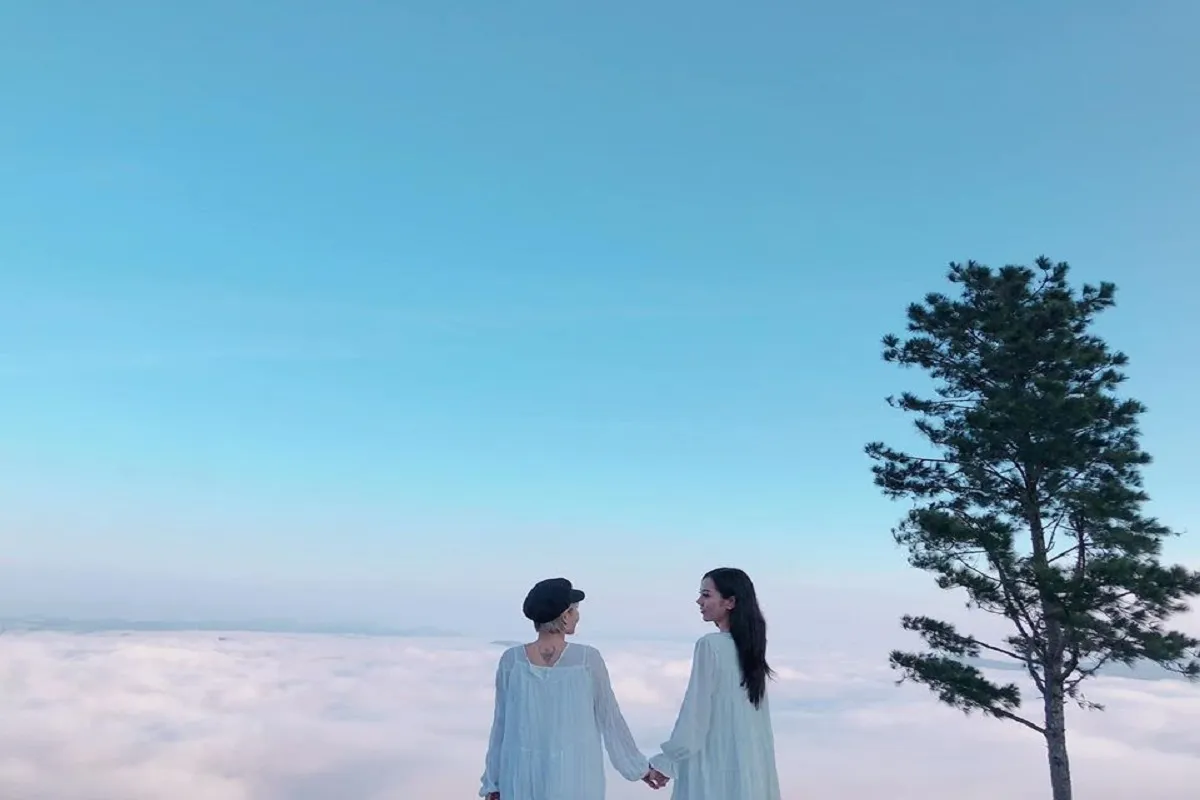 Chasing the Mist: Why the Da Lat Cloud Hunting Tour is a Dreamy Must-Do
