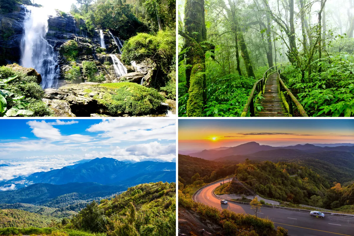Doi Inthanon Day Trip Review: Conquer Thailand's Highest Peak Without Breaking the Bank!