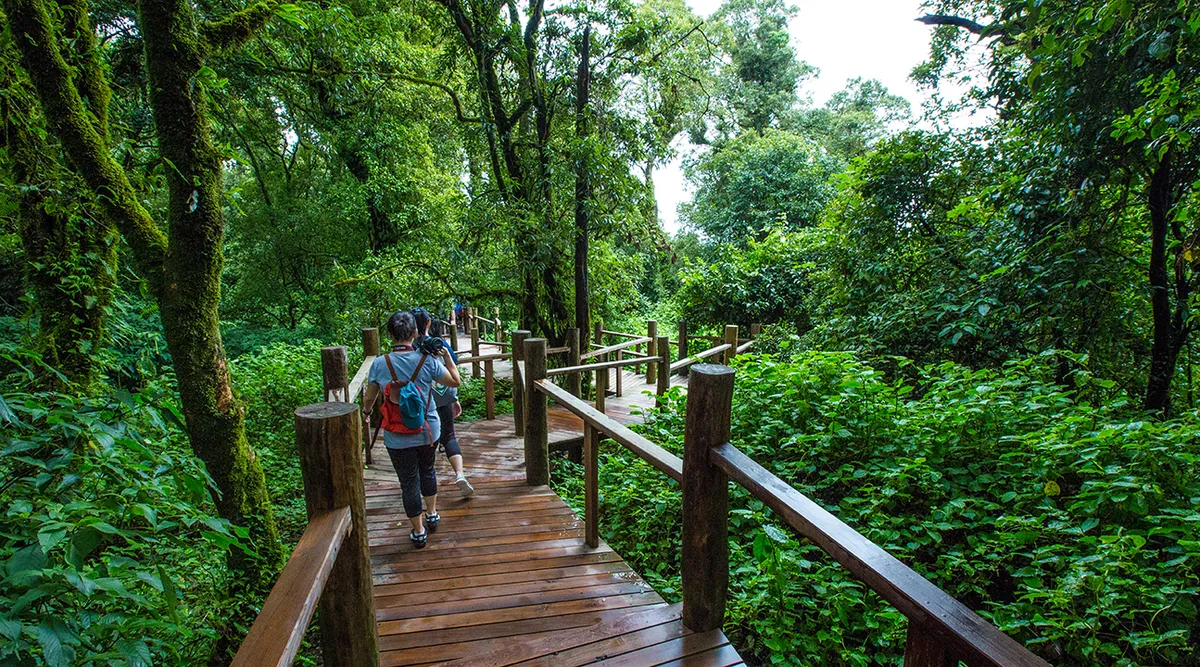 Get panoramic views of Thailand above the jungle's treeline