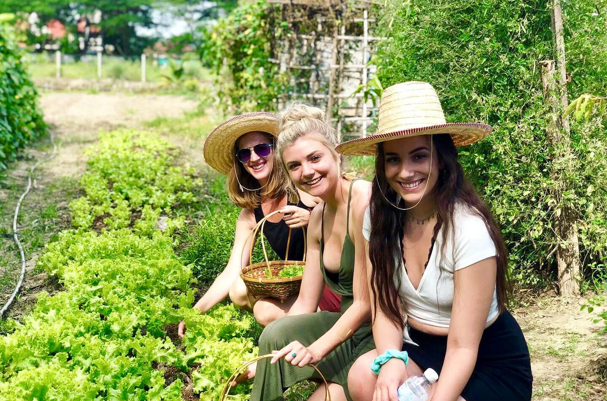 Wok, Roll, and Farm Life: My Spontaneous Culinary Escape at Baan Farm Chiang Mai