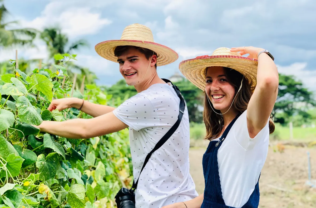 Recoge los ingredientes directamente del jardín