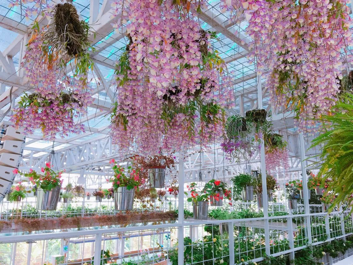 Artemis Garden Yilan: Un refugio tranquilo para la creatividad botánica y el ocio