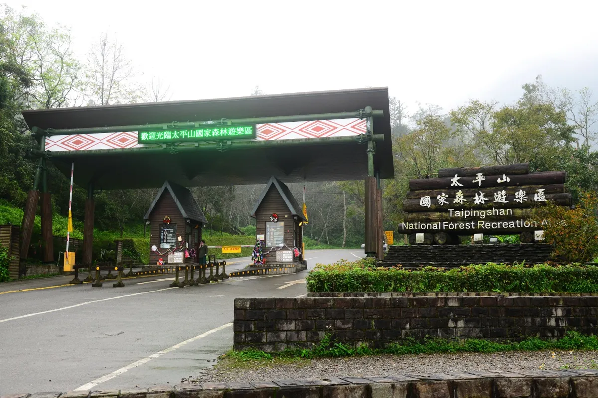 Guía Familiar del Bosque Nacional de Taipingshan: ¡El Escape Verde de Yilan!