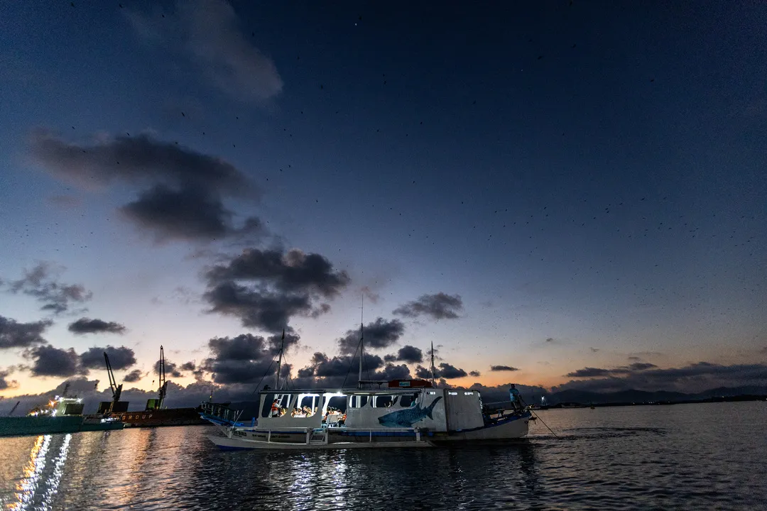 Sparkling Nights & Family Delights: Our Review of Puerto Princesa's Firefly Watching Tour