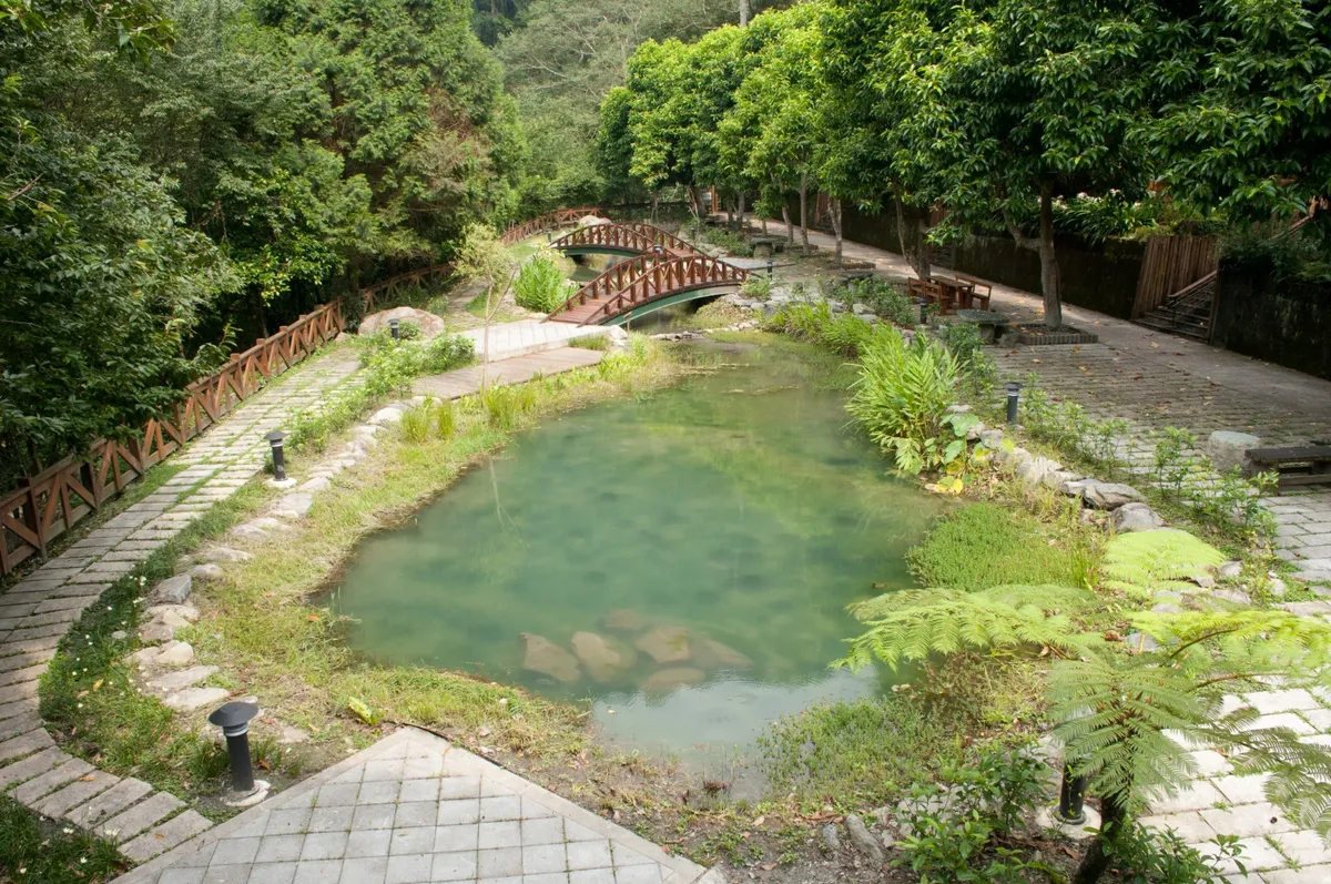 Revelando el Bosque Nacional Basianshan: ¡Tu Escape Definitivo al Paraíso Montañoso de Taiwán!