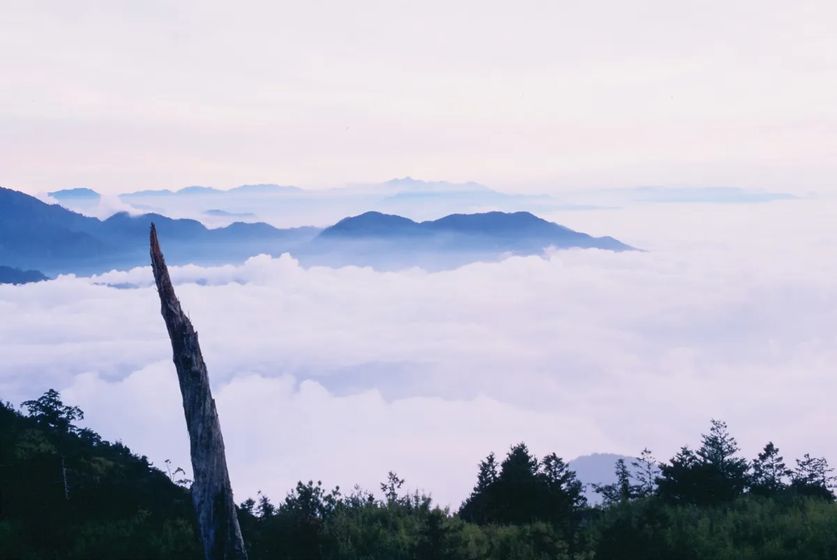 Dasyueshan National Forest: Your Budget-Friendly Escape to Taichung's Mountain Paradise