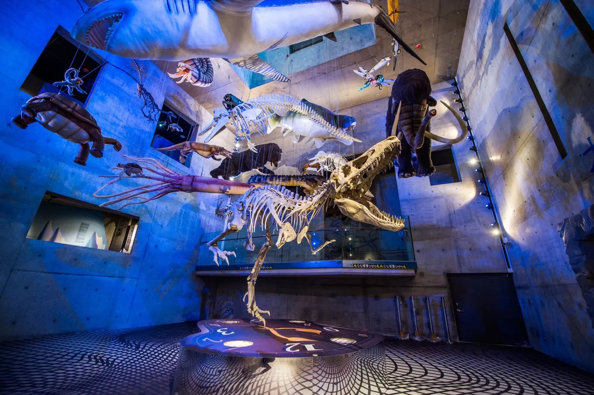 Unearthing Wonders: A Detailed Review of Tainan's Zuojhen Fossil Park