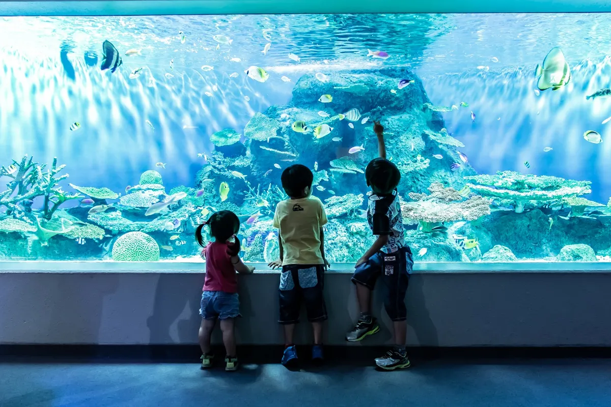 Splashing Fun for All Ages: Why Shinagawa Aquarium is Tokyo’s Best Kept Family Secret