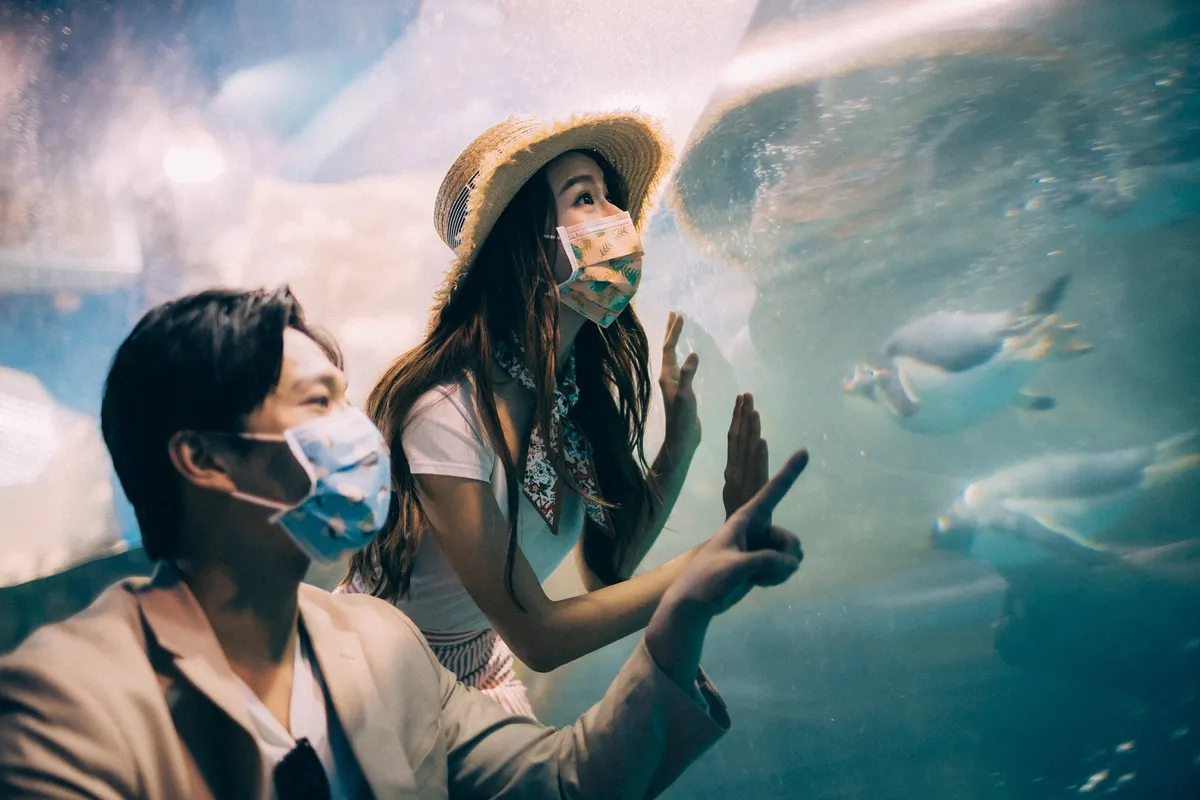 Pingtung's Underwater Wonderland: A Comprehensive Review of Taiwan's National Museum of Marine Biology and Aquarium