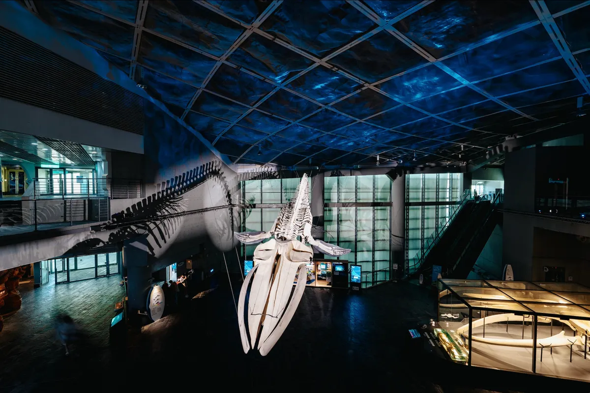Billet pour le Musée national de biologie marine et aquarium