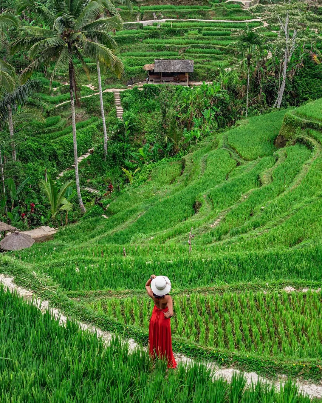Stunned by the amazing view of rice terraces!