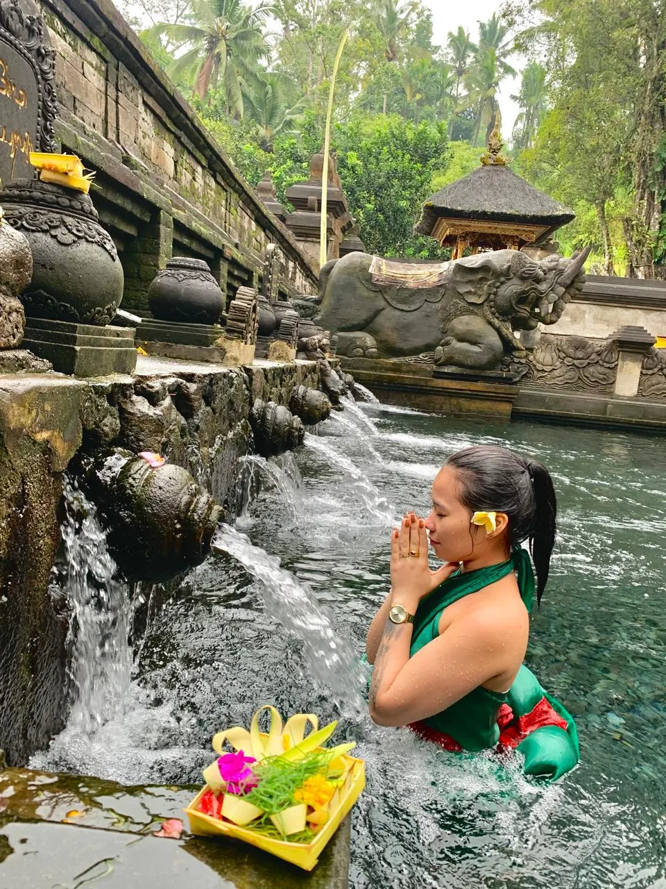 Ubud Waterfalls, Water Temple & Rice Terraces Private Tour