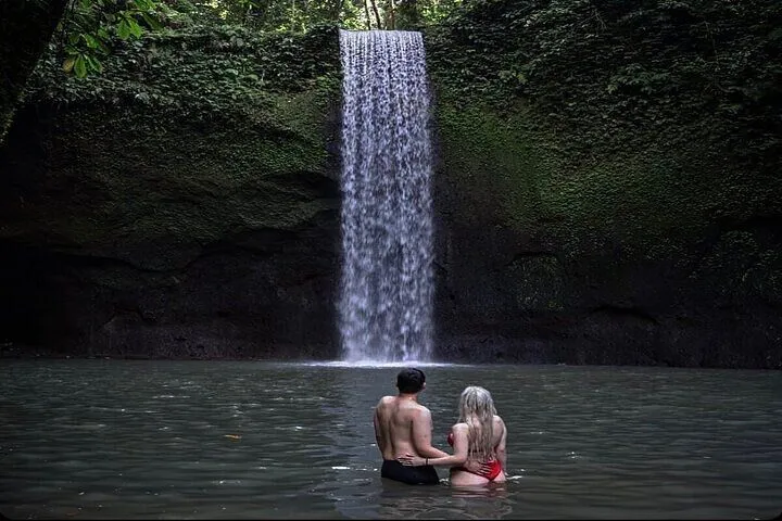 Ubud Waterfalls, Water Temple & Rice Terraces Private Tour