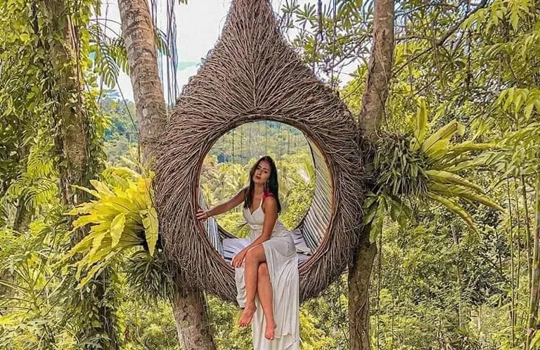 Take an iconic picture in a bird nest!