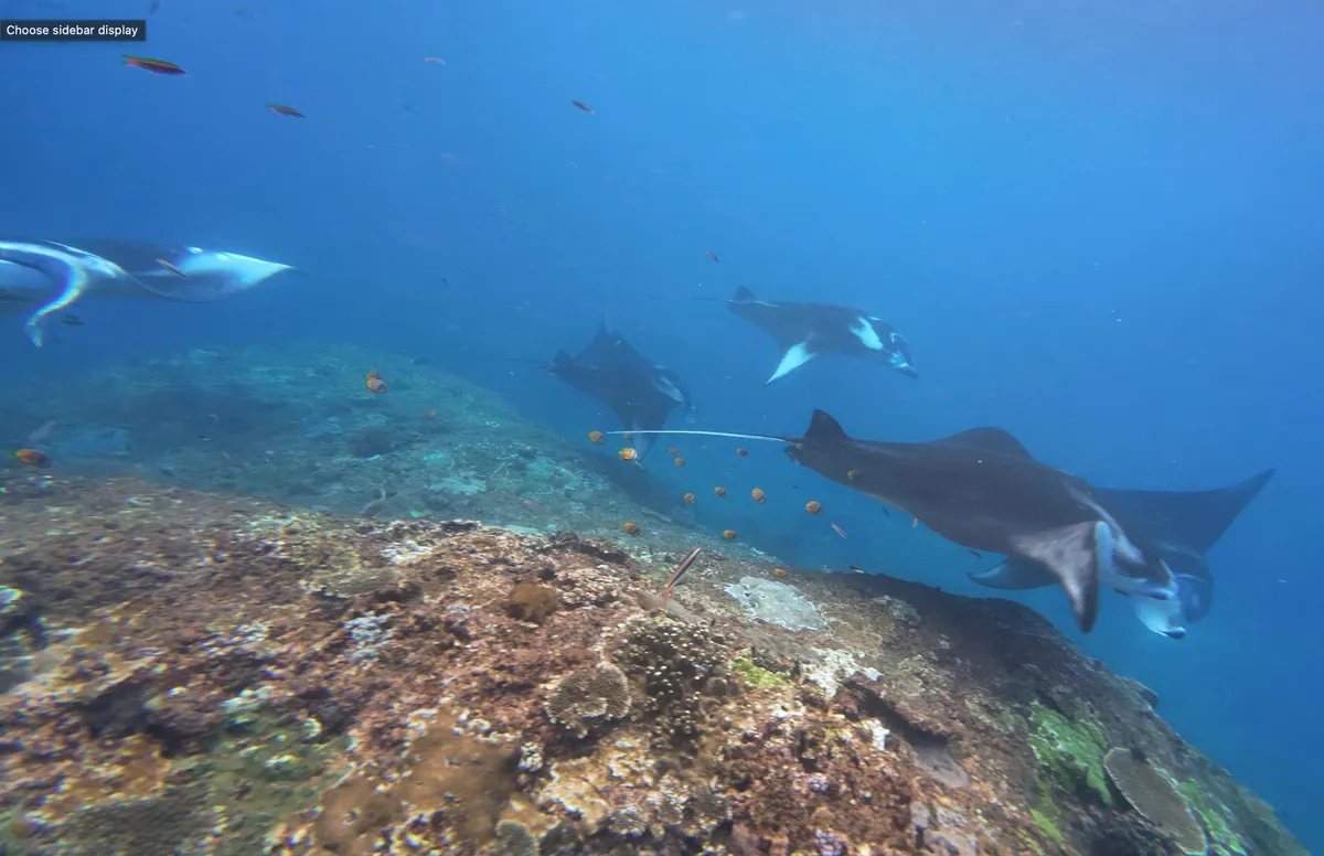 Exploring Nusa Penida: A Comprehensive Review of the Snorkeling Experience