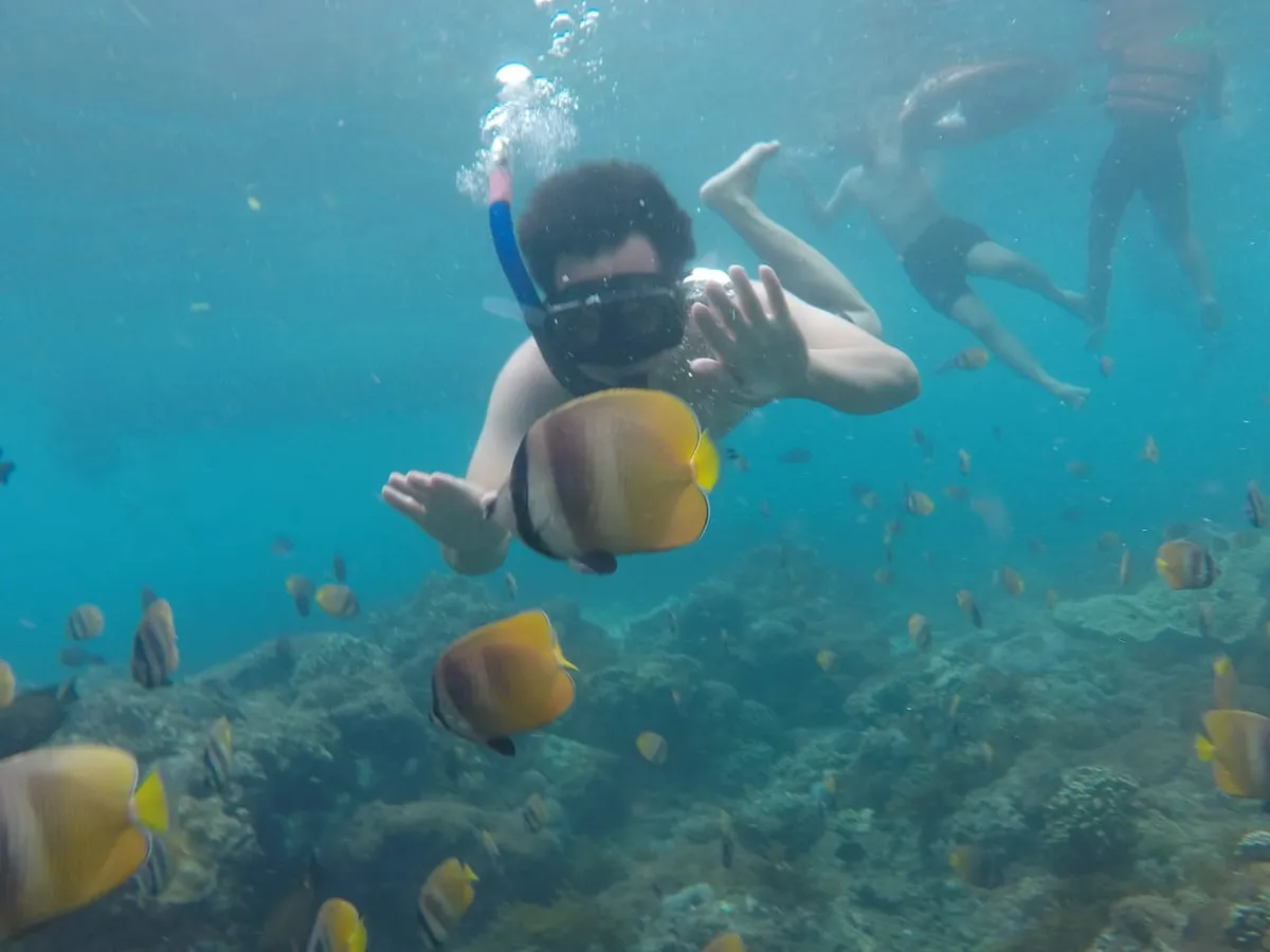Have a chance to meet beautiful corals and marine life!