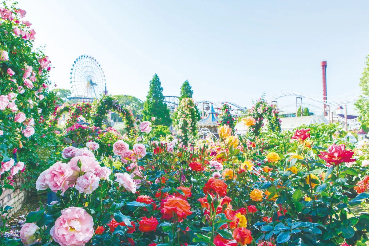 Hirakata Park: Osaka's Hidden Gem for Underrated Family Fun!