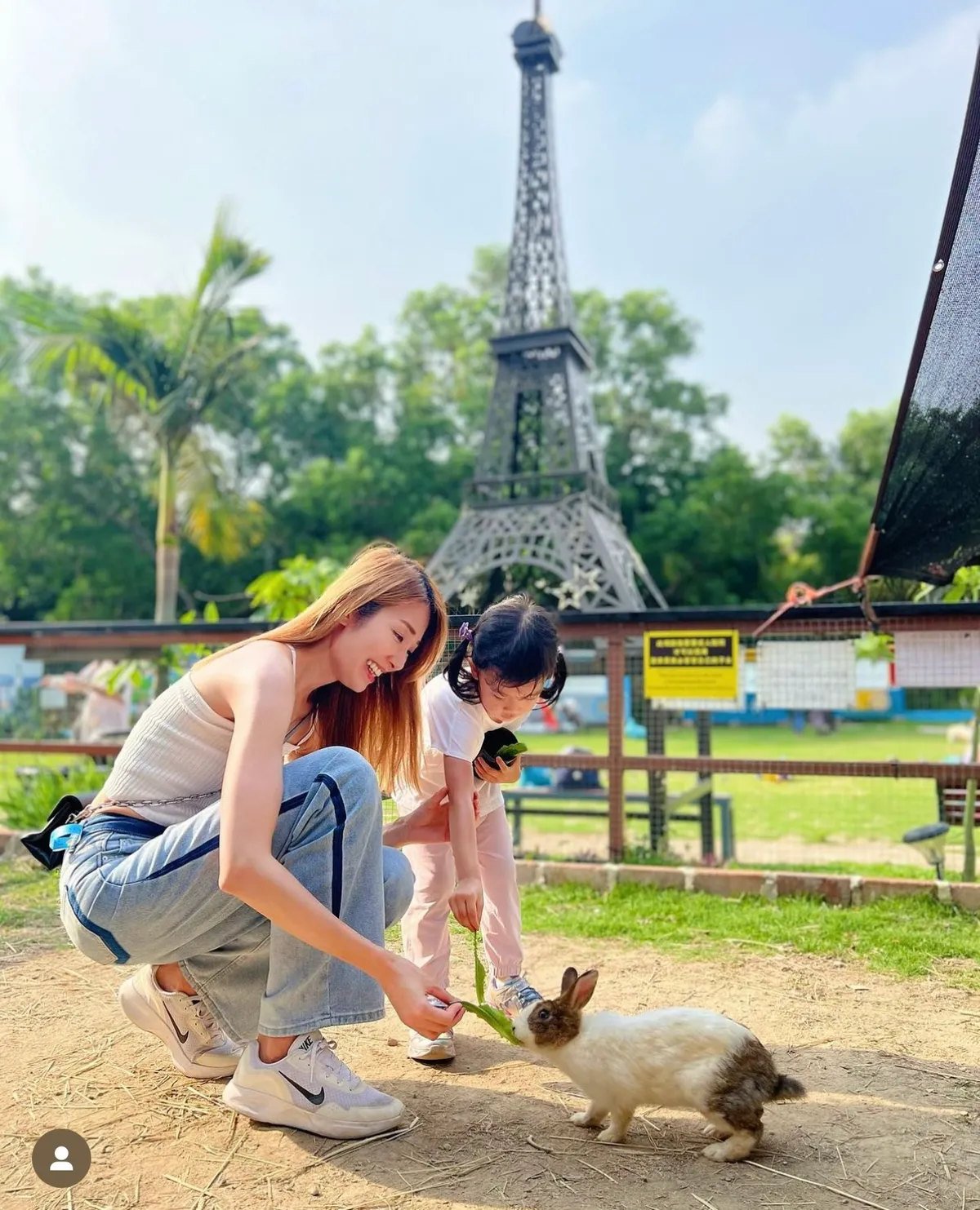 Bunny Wonderland Farm Review: A Stress-Free Animal Adventure in Yuen Long