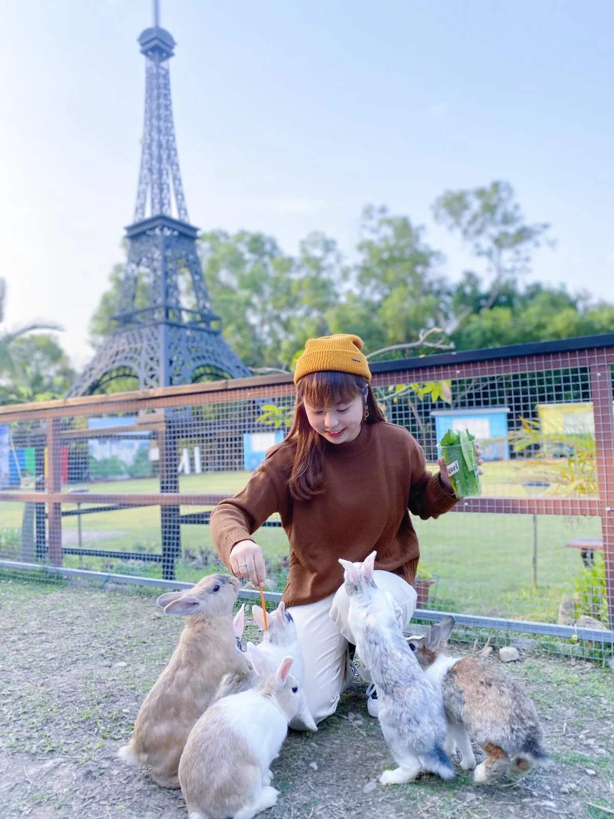 Family Activity - Bunny Wonderland Farm | Yuen Long