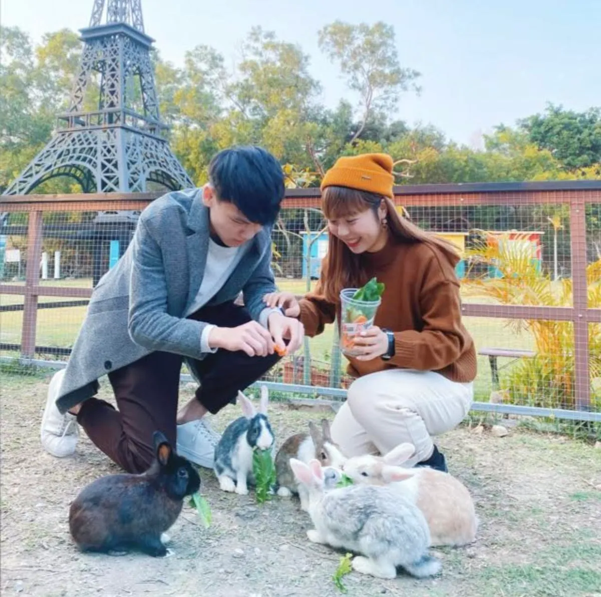 Family Activity - Bunny Wonderland Farm | Yuen Long
