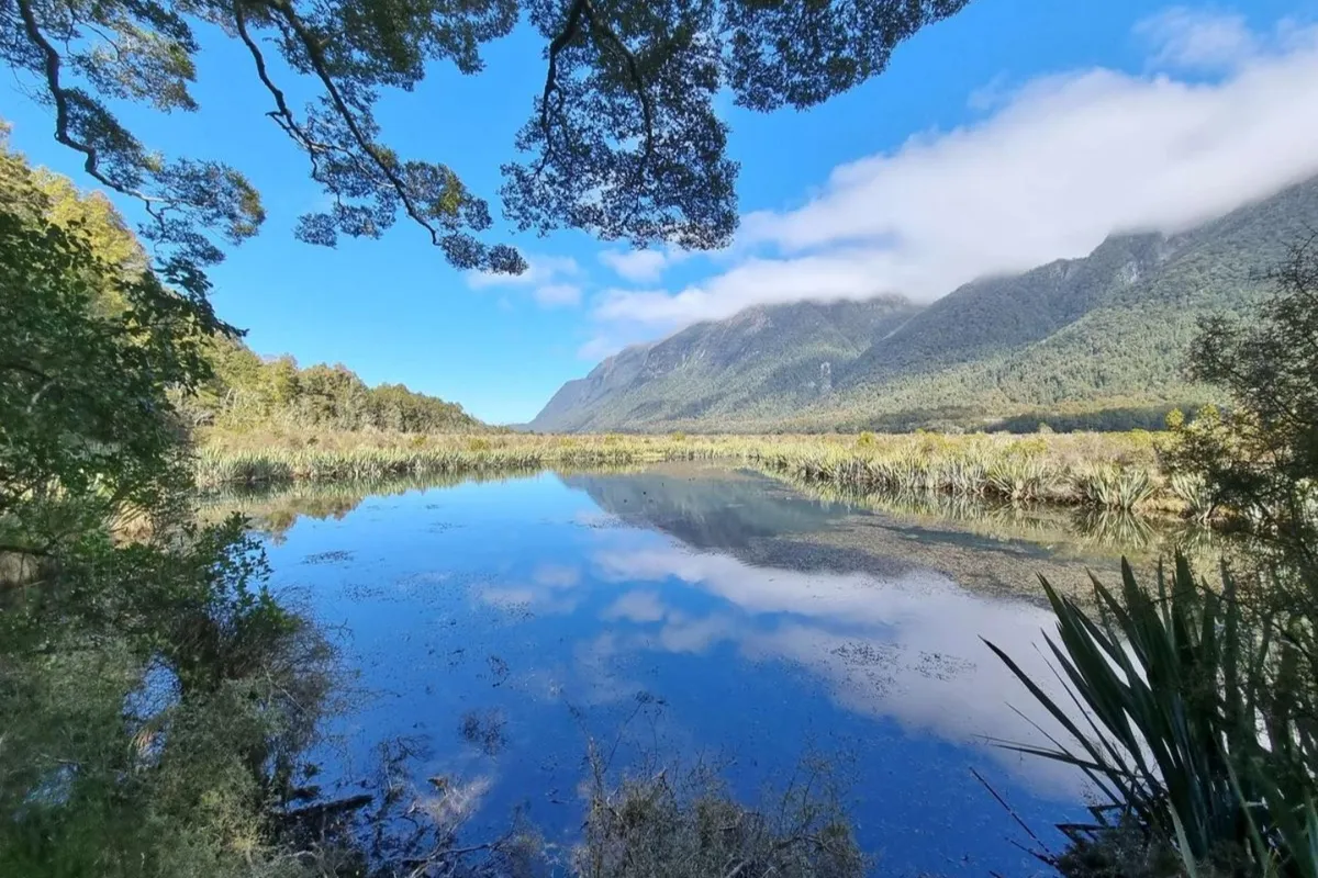 Chasing Waterfalls: Why the Boutique Milford Sound Small Group Tour Rules
