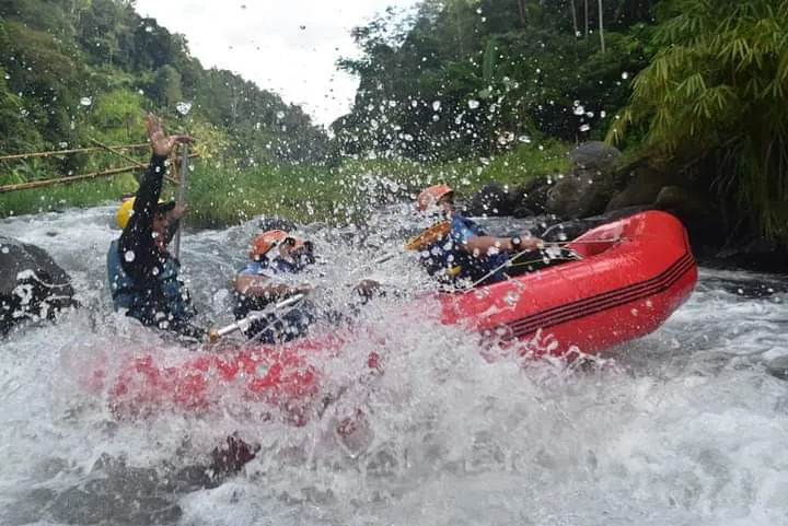 Bali Whitewater Rafting Review: Adrenaline and Jungles on a Budget