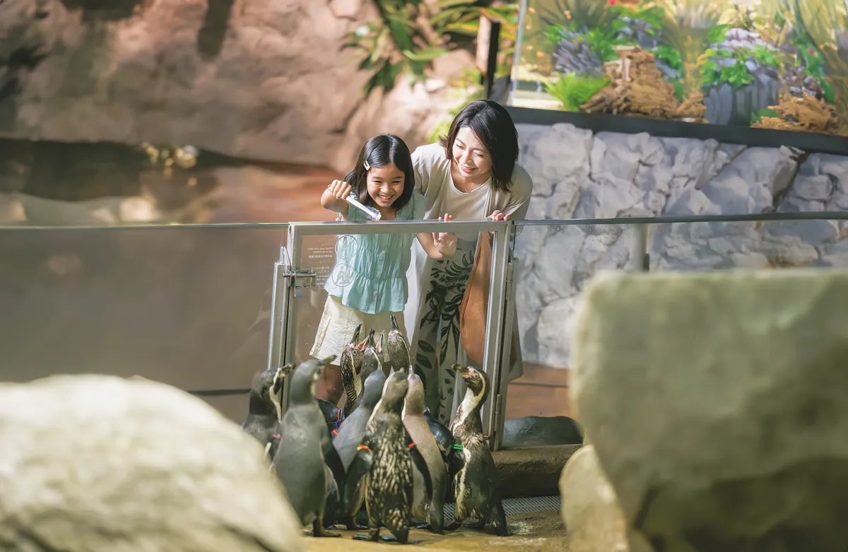 Sumérgete en la Maravilla: Una Reseña Familiar del Acuario DMM Kariyushi Okinawa