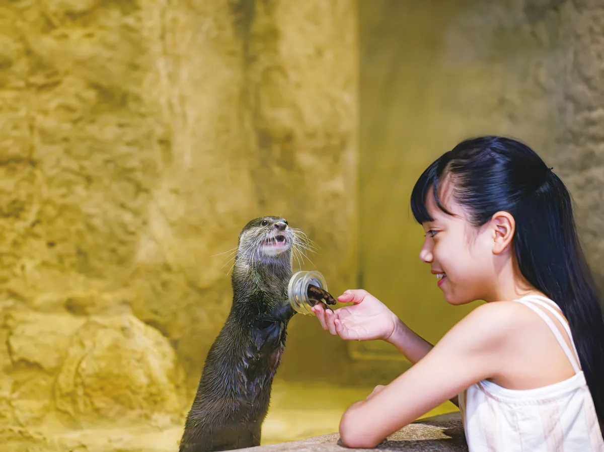 Entrada para el Acuario DMM Kariyushi en Okinawa