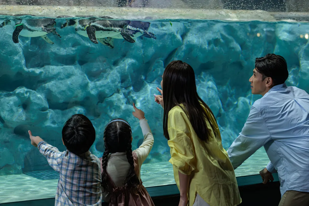 Entrada para el Acuario DMM Kariyushi en Okinawa