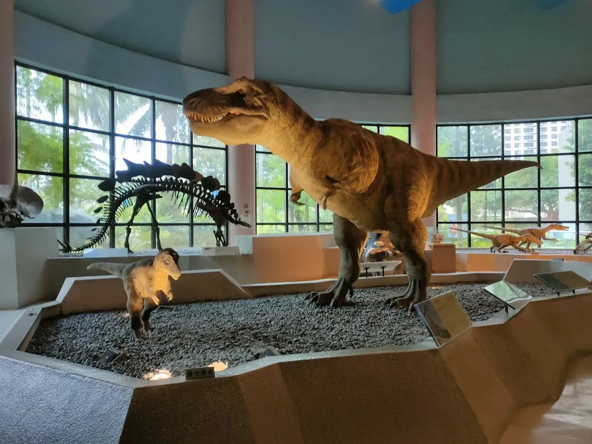 Billet d'entrée et billet combiné pour le Musée national des sciences naturelles